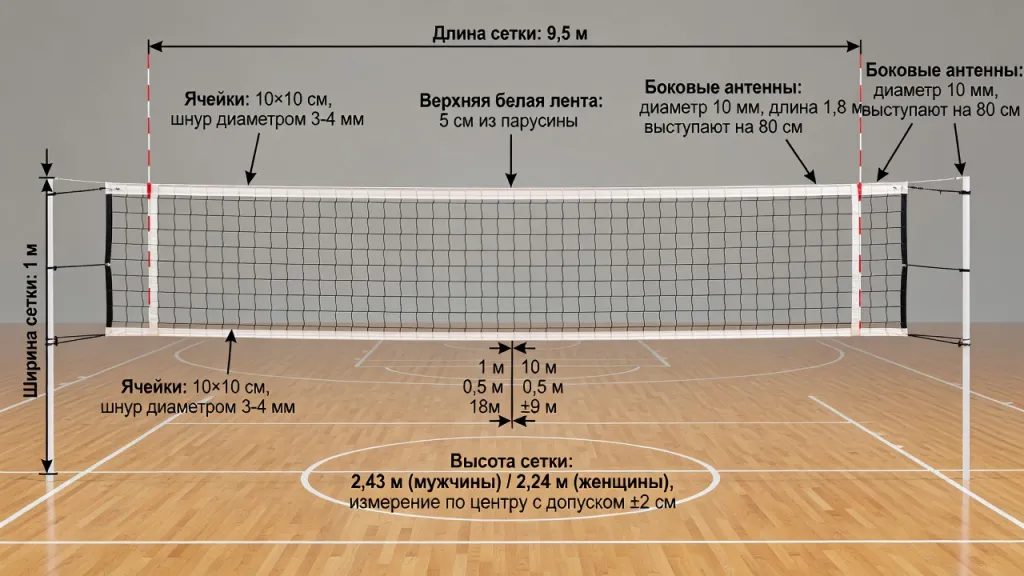 Длина сетки в волейболе: официальные стандарты и размеры